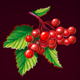chervona kalyna berries symbol icon
