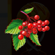 chervona kalyna megaways berries symbol icon