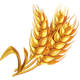 chicken burst extra golden wheat symbol icon