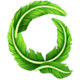 chicken burst extra leaf q symbol icon
