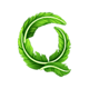 chicken burst q symbol icon