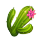 chilli charm jackpot cactus symbol icon