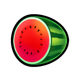 coin dazzle watermelon symbol icon
