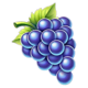 coin storm purple grapes symbol icon