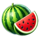 coin storm xmas watermelon slice symbol icon