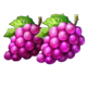 coin strike 2 hold and win grapes symbol icon