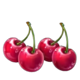 coin strike xxl multicoin cherrie symbol icon