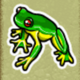 crazy monkey 2 frog symbol icon
