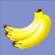 crazy monkey banana symbol icon