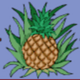 crazy monkey pineapple symbol icon