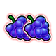 dash o cash grapes symbol icon