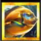 divers paradise gold fish card symbol icon
