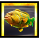 divers paradise golden fish 2 symbol icon