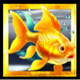 divers paradise goldfish 2 symbol icon