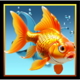 divers paradise goldfish symbol icon