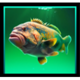 divers paradise grouper symbol icon