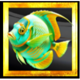 divers paradise teal angelfish symbol icon