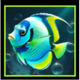 divers paradise tropical fish symbol icon