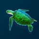 dolphin gold turtle symbol icon