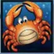dolphins pearl crab symbol icon