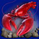 dolphins pearl deluxe lobster symbol icon