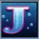 dolphins pearl j symbol icon