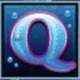 dolphins pearl q symbol icon