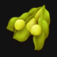 duolitos garden beans symbol icon