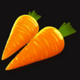 duolitos garden carrots symbol icon