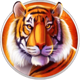 enchanted grove tiger symbol icon