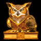 enchanted waysfecta owl symbol icon