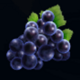 energy fruits powerpoints grapes symbol icon