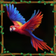 exploration amazon bird 1 symbol icon