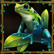 exploration amazon frog symbol icon