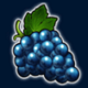 extra stars grapes symbol icon