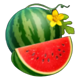 fiery slots cash mesh link watermelon symbol icon