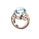 filthy stinkin rich ring symbol icon