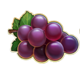 fire joker 100 grapes symbol icon