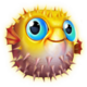 fishy business mega cascade puffer fish symbol icon