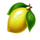 fortune crown gold gift lemon symbol icon