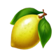 fortune crown lemon symbol icon