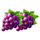 fortune love purple grapes symbol icon