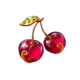fruit blaze cherrie symbol icon