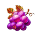 fruit blaze grape symbol icon