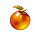 fruit blaze orange symbol icon