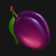 fruit machine x25 prune symbol icon