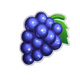 fruit route 69 grapes1 symbol icon