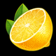 fruits first lemon symbol icon