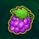 fruits safari grape symbol icon