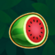 fruits safari melon symbol icon
